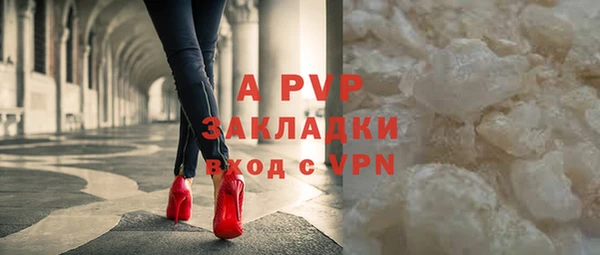крисы Касимов