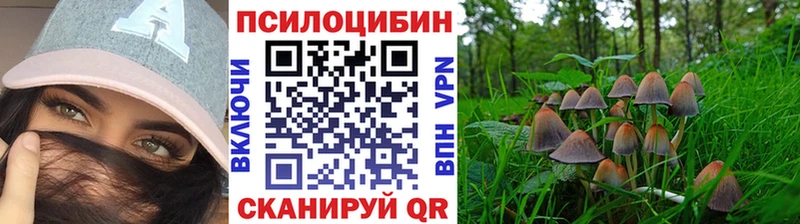 Галлюциногенные грибы ЛСД  Купить  Кинель 